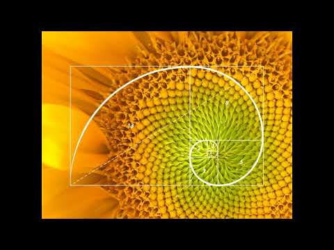 Phi 1.618 Pi 3.14 & 432 Hz- Monaural & Delta Binaural Beat Meditation Music With Wind Chimes