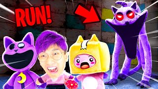 Poppy Playtime 3 - CATNAP Is ANGRY!? (Smiling Critters vs LankyBox Plushies)