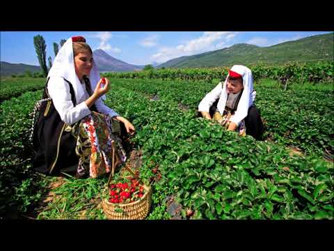 Klapa Bunina  -  Život me tuka