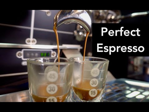 How to Make a Perfect Espresso Shot