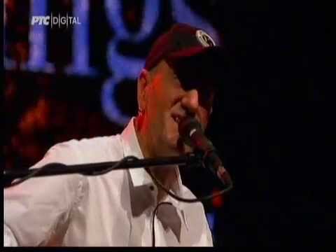 Kings of Strings - Gipsy song