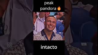 Miniaturka - peak pandoramt2