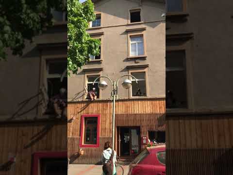 KISS - busking in Frankfurt - The Beecham Brothers - by Bernard G Muller - Gretsch Bobtail Resonator