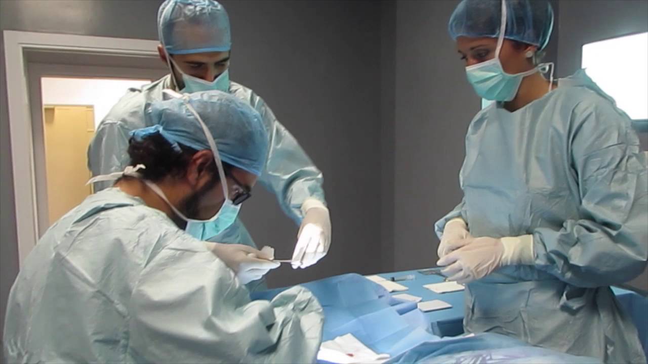 Pedro Bernáldez Domínguez-12