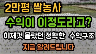 #쌀벼농사 #농업쌀벼수익구조 #귀농귀촌