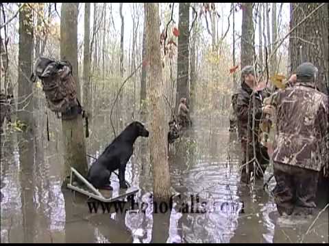 Echo Boys Knock The Snot Outta the Mallards In The Timber