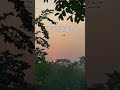 Where The Sun Shines Love Grows Reels Love Trending Hitsong Sunset Viralshorts