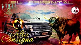 EL SEMENTAL - ALTA CONSIGNA  | 2016
