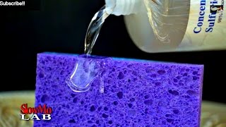 Sulfuric Acid and Sponge Reaction in Slow Motion | Slow Mo Lab