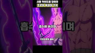 사황 카이도 잡기 위한 조로와 루피의 특훈!!#원피스