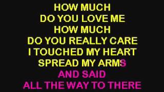 SC3282 08   Berry, John   How Much Do You Love Me [karaoke]