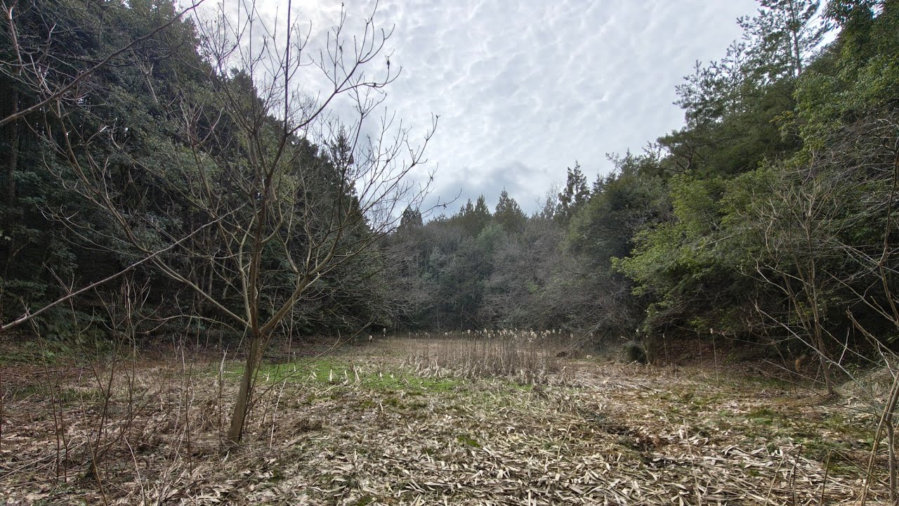 廃止された池、ビオトープにして活用する