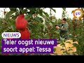 Tessa wordt geplukt, maar niet zoals je denkt