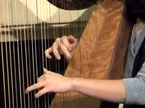 Harp - Cheyenne Brown - a Jig and two Reels @ Morley Harps