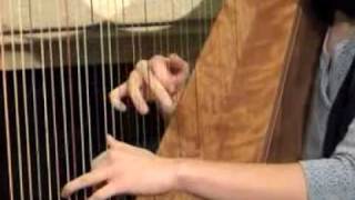 Harp - Cheyenne Brown - a Jig and two Reels @ Morley Harps