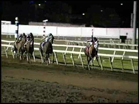 2009 Meadowlands Cup