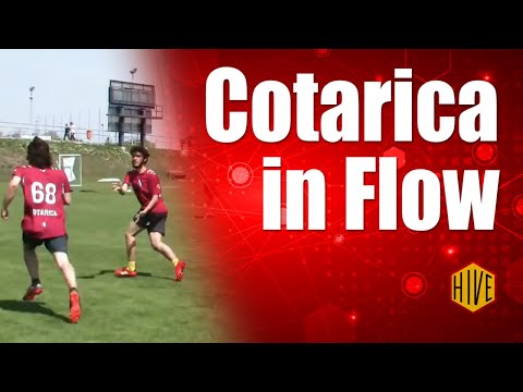 Cotarica's Flow vs Zone