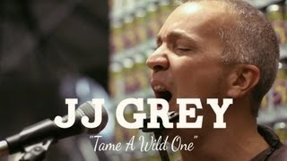 Tame A Wild One - JJ Grey - Live at Sun King Brewery (My Old Kentucky Blog Session)