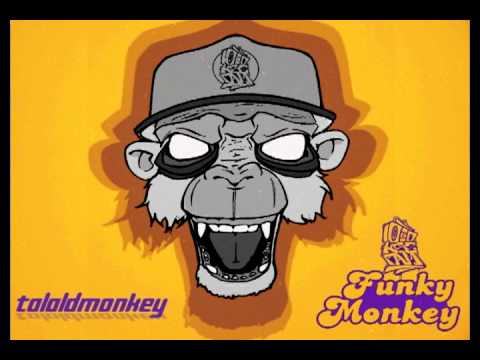 KényszerSzünet - TaláldMonkey