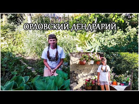 В гостях у тети. Орловский дендрарий. Жизнь в деревне.