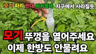 모기파리 이거 뚜껑을 열면 고민이 사라집니다 몆십만마리 6분안에 사망 ! #모기퇴치 #프로텍홈 #바퀴벌레퇴치…