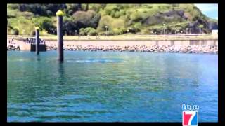 preview picture of video 'Avistamiento de un delfín en el puerto de Zierbena'