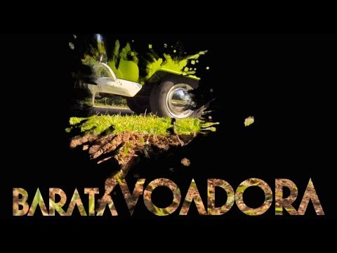 Barata Voadora - Zignal