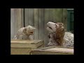 Sesame Street I Am Mutton Hear Me Roar