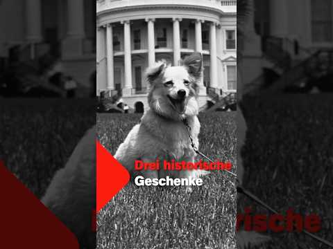 Video Thumbnail: Historische Geschenke mit zweifelhafter Absicht? 🎁 | Terra X #Troja #Pushinka #KalterKrieg #Xmas
