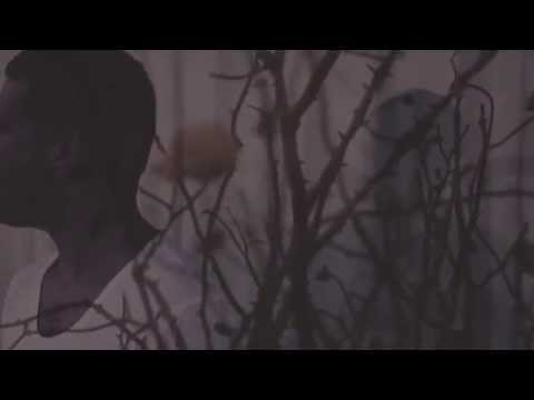 Alёna Nice & AnimoEx - You and Me (Original Mix) (Unofficial Video Clip)