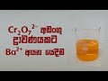 Cover of ඩයික්‍රෝමේට් අයන අඩංගු ද්‍රාවණයකට Ba<sup>2+</sup> අයන අඩංගු ද්‍රාවණයක් යෙදීම