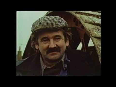 Country Ways - The Cerne Valley in December