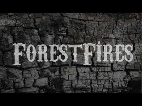 Forest Fires - Best Intentions
