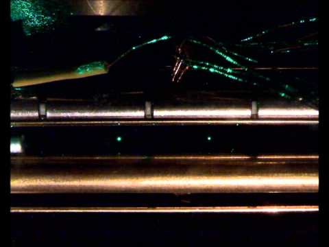 Assembly of two individual microparticles in a linear Paul trap induced by electrostatic attraction