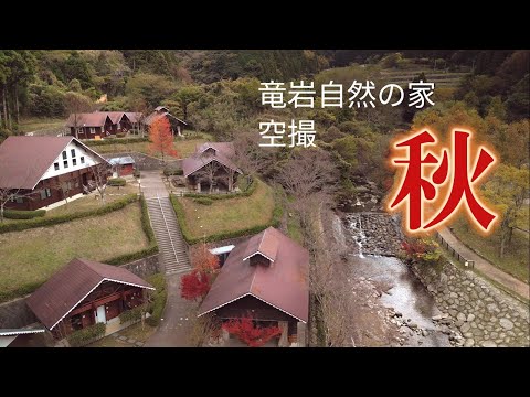 穏やかに包み込む 竜岩の秋