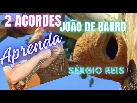 João de Barro - Sérgio Reis