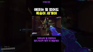 에코가 더 열심히 해볼게!!