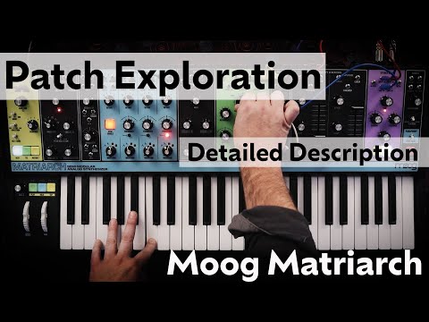 Moog Matriarch Patching Idea with Explanation | Complex Evolving Pad
