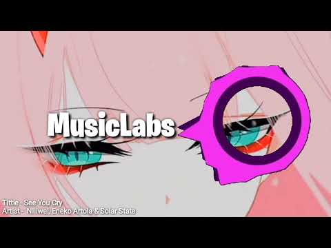 See You Cry - Niwel, Eneko Artola & Solar State // Free Music @MusicLabsby40 [re-releases]