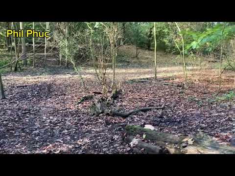 Part 2 - Citadelle - Lille