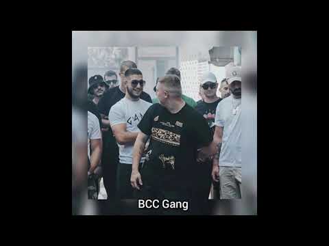 Immune - Veggalika (Unreleased)