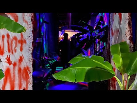 Play Video Youtube Video