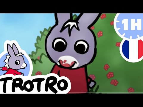 TROTRO - Trotro est un petit gourmand |NOUVELLE COMPILATION 2021|HD