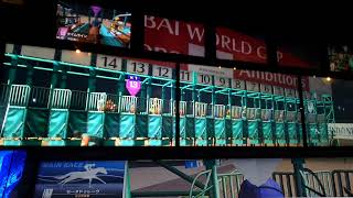 【スタホ4／スターホース4】スターホース4をやってみた(その91)〈セーヌドゥレーヴ④〉《DWC》