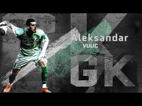 Aleksandar Vulic ● Goalkeeper ● FK Spartak Subotica  | Highlight video