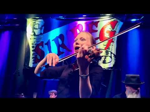 SIR REG @ Irish Folk Festival Heilbronn