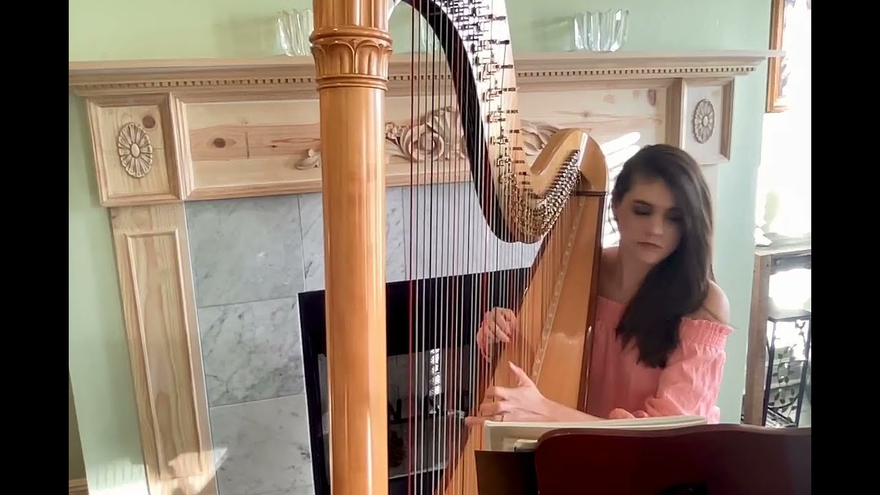 Promotional video thumbnail 1 for Harpist for all Occasions