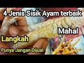 4 Best Types Of Chicken Scales Steps