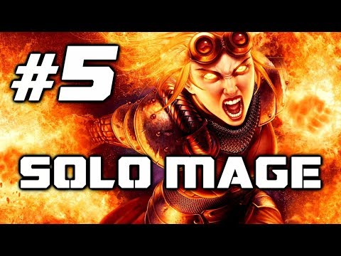 Divinity Original Sin 2: Mage solo Dallis & her pets on Lady Vengeance (Honour Mode) - Part 5