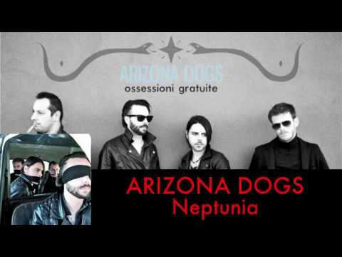 Arizona dogs - Neptunia